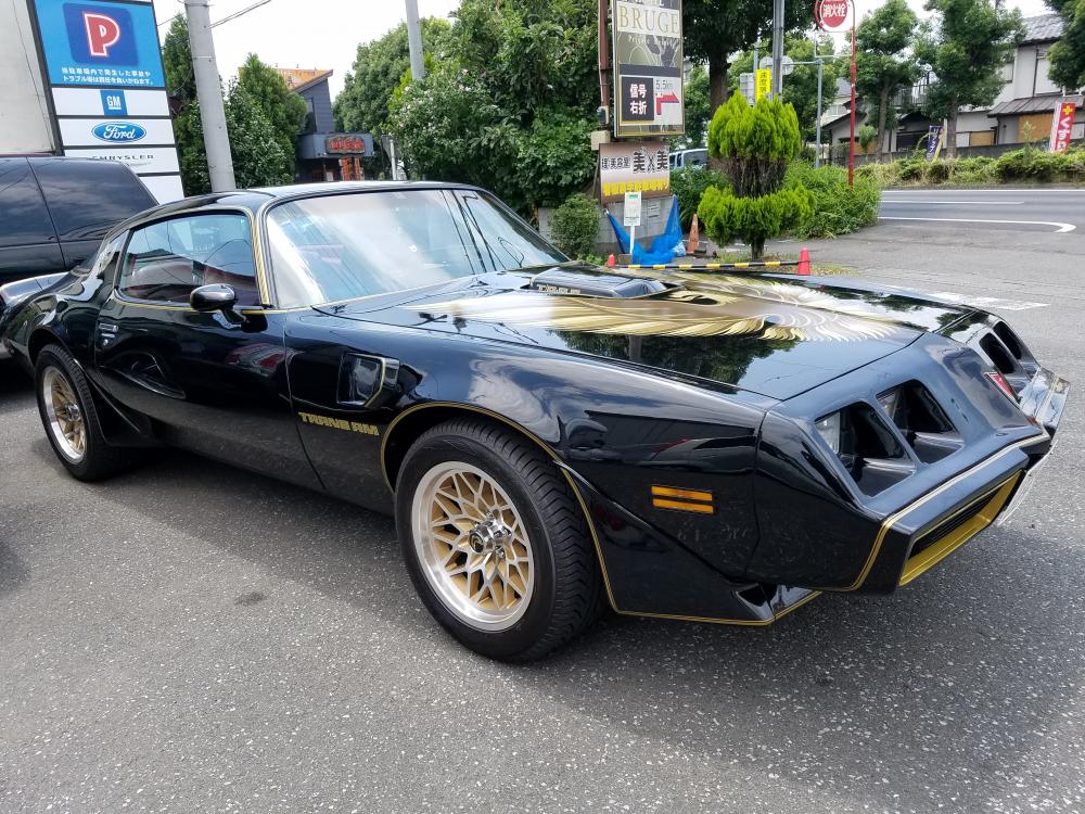 1979 Trans Am トランザム電気系修理 整備 坂戸の自動車修理 Wellpine Auto Garage 日本車 アメ車の各種修理 車検 板金 コーティングなど