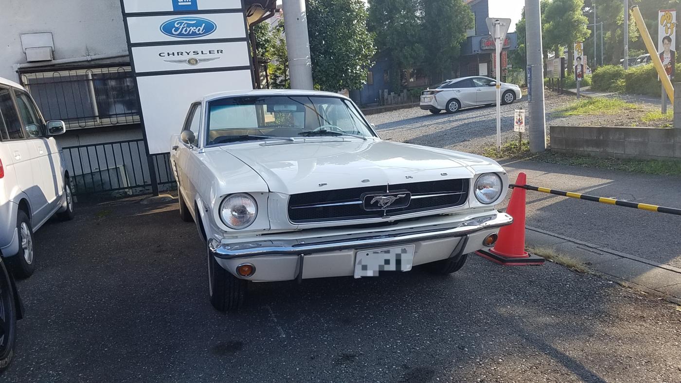 1966 マスタング オイル漏れ 自力走行不能 整備 坂戸の自動車修理 Wellpine Auto Garage 日本車 アメ車 の各種修理 車検 板金 コーティングなど